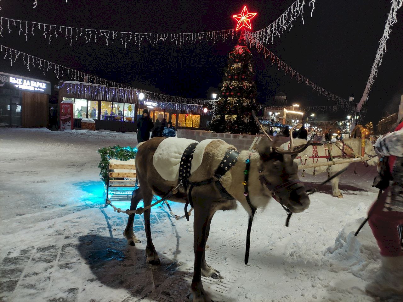 Новый год в барнауле