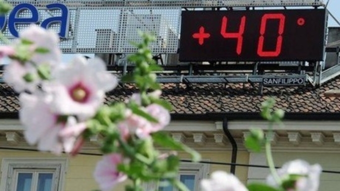 Жару до +40 градусов прогнозируют в Алтайском крае на выходные