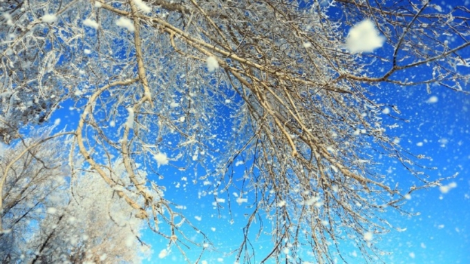 Обычный февраль и теплый март: как Алтай проводит зиму и встретит весну 