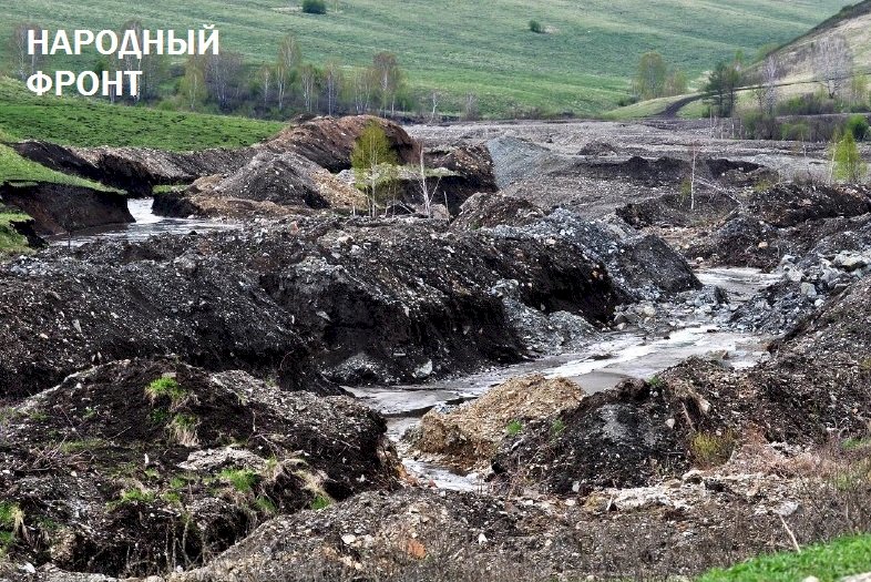 Река Ануй во время работы на ней золотодобытчиков. Фото: onf.ru 