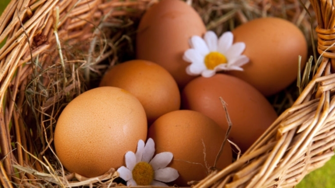 Ученые выяснили, что яйца продлевают жизнь