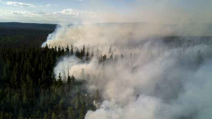 Сибирские пожары назвали катастрофой планетарного масштаба