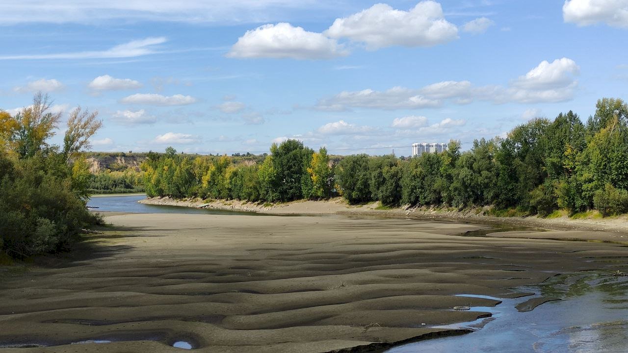 Затон новосибирск фото