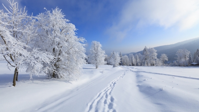 Волна тепла после морозов: какая погода ждет Алтайский край на этой неделе