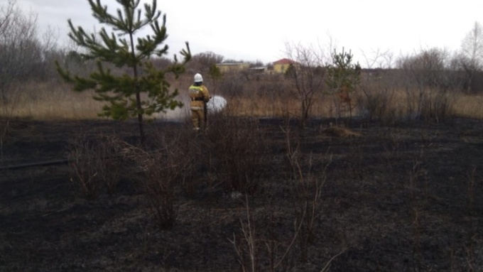 Пал прошлогодней травы привел к пожарам в Алтайском крае