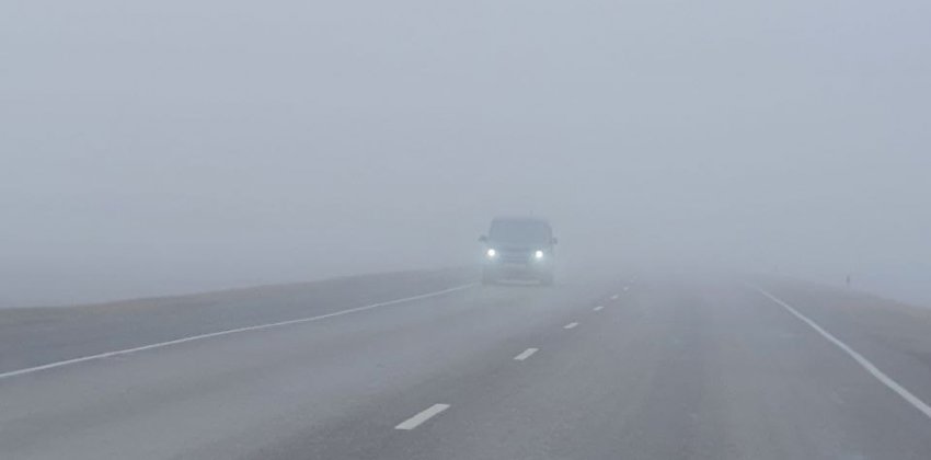 Густой туман накрыл дороги в Алтайском крае 