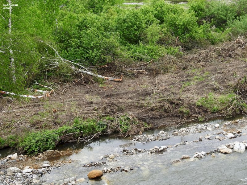 Река Ануй во время работы на ней золотодобытчиков. Фото: onf.ru 