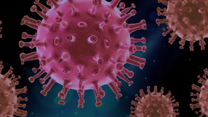 Ученые выяснили, кто был нулевым пациентом с коронавирусом в России