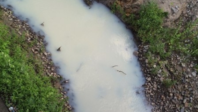 Эксперты нашли место, откуда в Пивоварку в Барнауле течет мутная жидкость