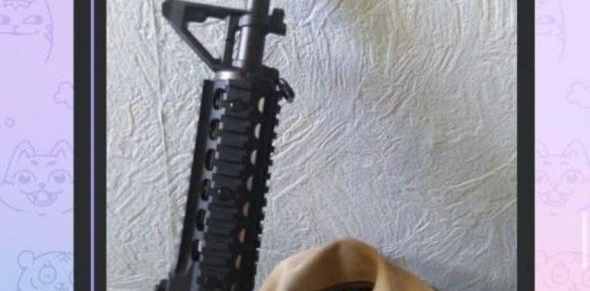 Первокурсники Алтайского педуниверситета боятся, что их расстреляет один из студентов. Вуз молчит