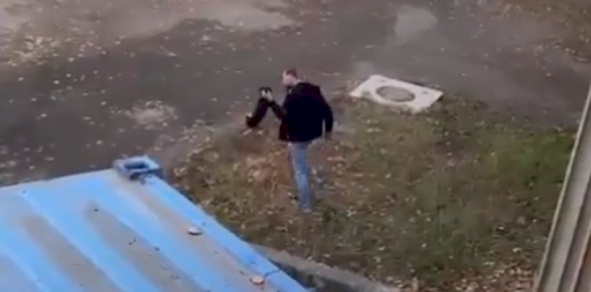 В Бийске нашли мёртвой маленькую собачку, которую ранее на улице избивал хозяин