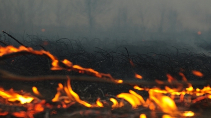 Задыхаемся дальше. Лесные пожары разрастаются в Красноярском крае