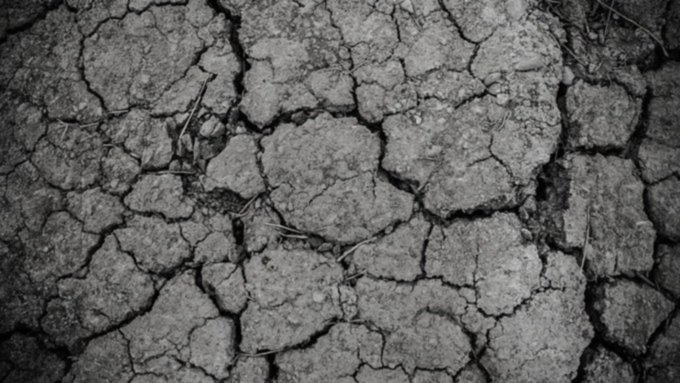 Биолог предупредил о новых засухах в Алтайском крае