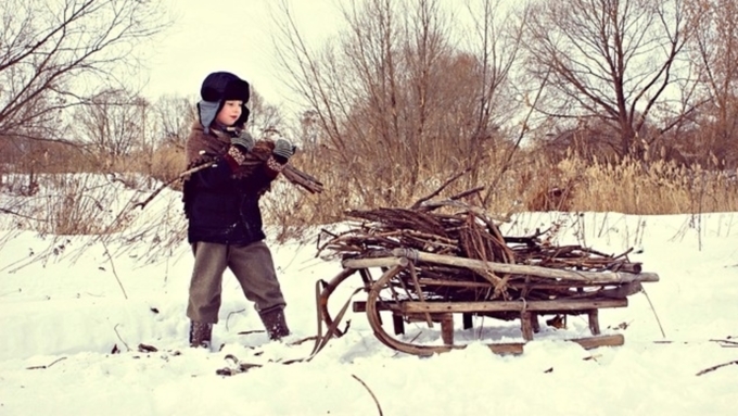 Жители Алтайского края хорошо усвоили, как правильно собирать валежник 