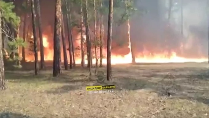 Возле села в Алтайском крае произошёл крупный природный пожар. Видео