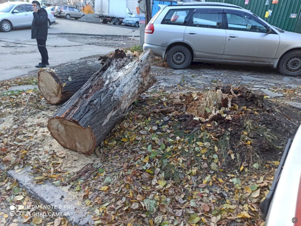 Показать ураган в барнауле. Ураган настоящий. Последствия сильного ветра. Ураганный ветер. Последствия урагана.