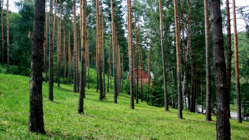 Юрий погуляев барнаул фото