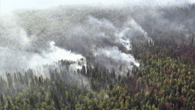 Весенний вызов: Алтаю, помимо тяжелого паводка, грозят ранние лесные пожары