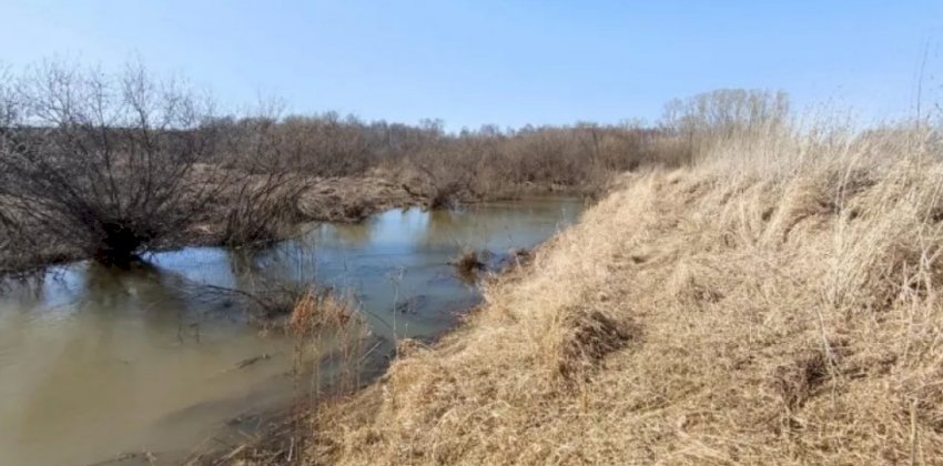 Тело 12-летней девочки нашли в новосибирской реке