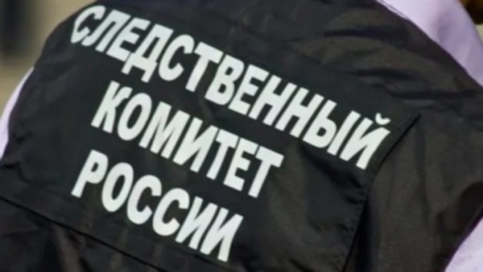 Алтайский СК возбудил дело о халатности из-за избиения школьницы