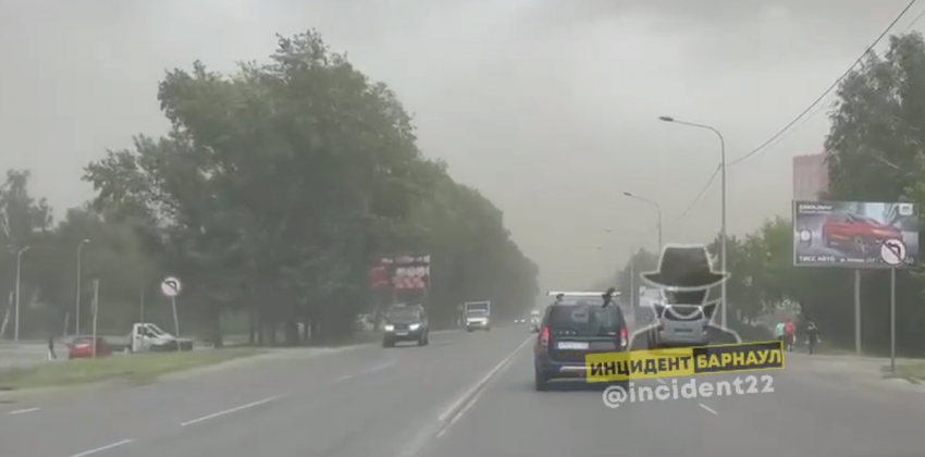 Пылевая буря добралась до Барнаула. Ветер валит деревья и рушит хрупкие конструкции