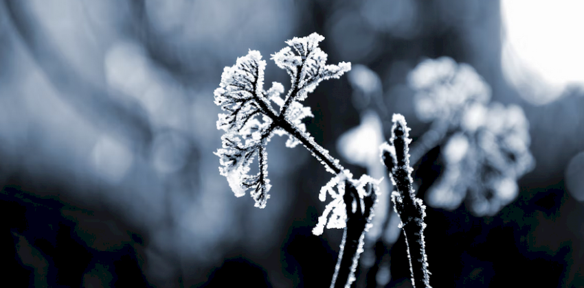 «Ещё холоднее будет». Барнаул в начале зимы накроют аномальные морозы с ветром и снегом