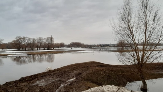 Жителей Алтайского края предупреждают о резком подъёме воды в реках