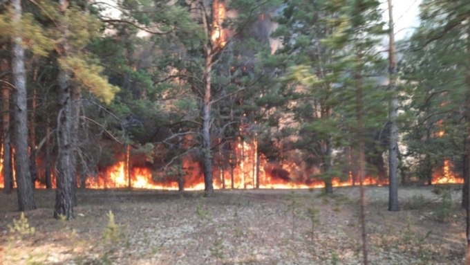 В Алтайском крае потушили крупный пожар, угрожавший спалить село