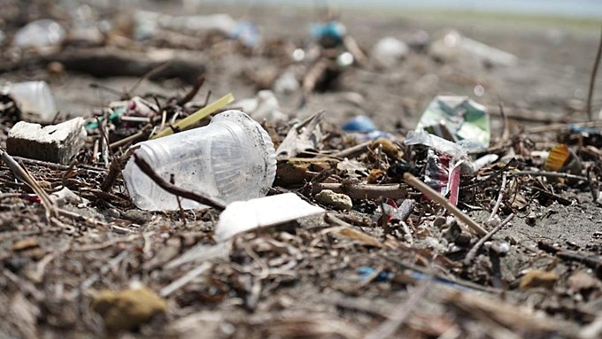 Алтайское село зарастает мусором из-за задержек с вывозом ТКО