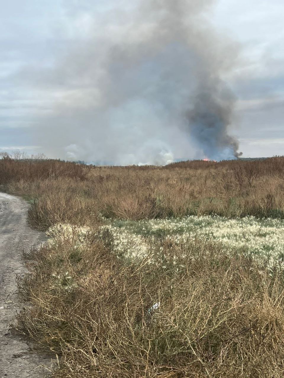  Пожар произошел в полях на окраине Славгорода 