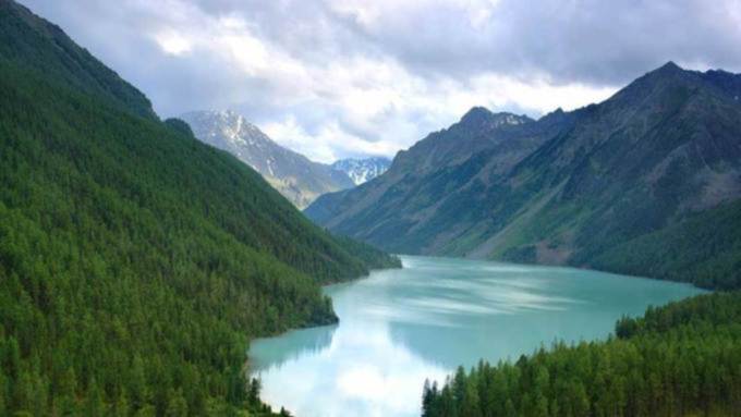 Жителей Алтайского края признали самыми экологически осознанными