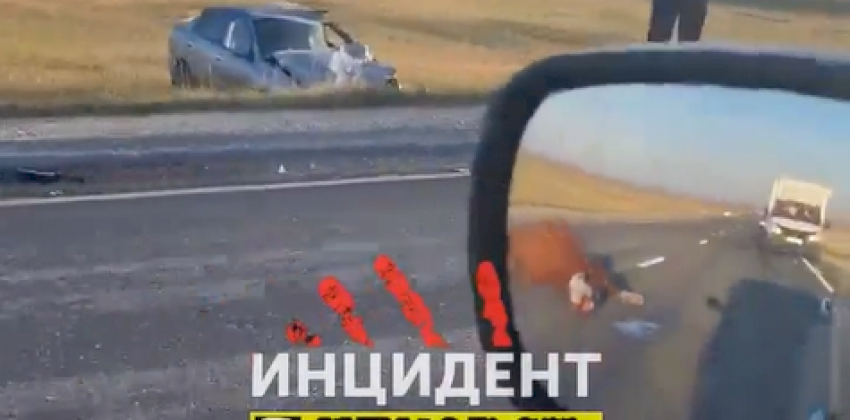 Водитель сбил корову и слетел с трассы в Алтайском крае