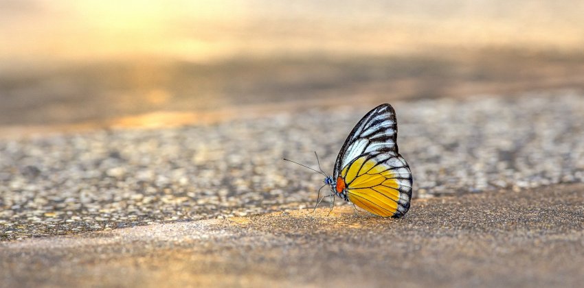 До +26 градусов. Синоптики дали прогноз погоды на выходные в Алтайском крае