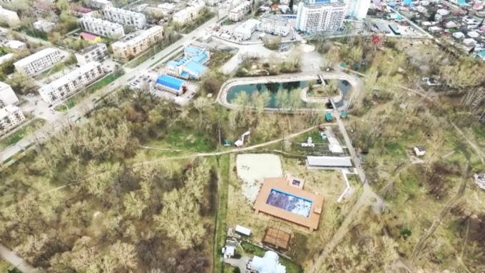 Житель Барнаула снял видео о вырубке деревьев в парке 