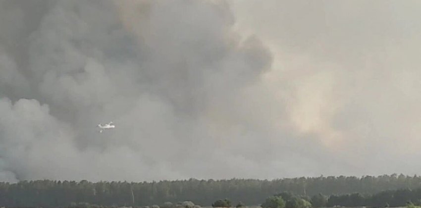  Площадь лесного пожара в Угловском районе выросла почти в четыре раза 