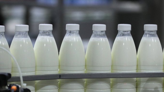 Сговор или нет. Закупочные цены на молоко синхронно упали в нескольких районах края