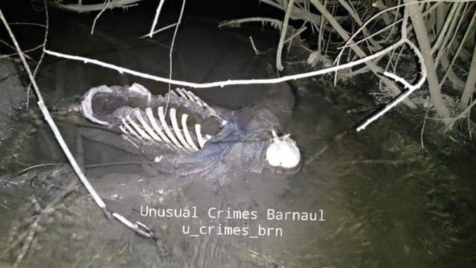 Человеческий скелет нашли в барнаульском парке 