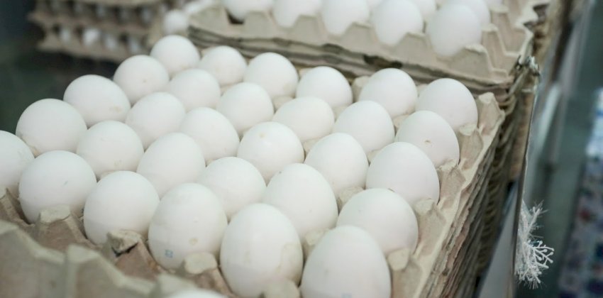 «Стратегия — накормить». Почему на алтайской птицефабрике не верят в дикий рост цен на яйца