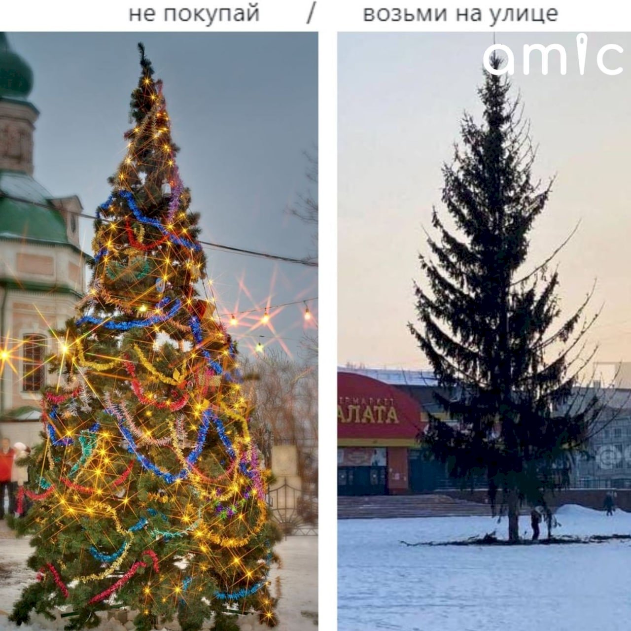 Фото на документы заринск