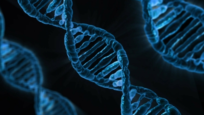 Шведские ученые обнаружили ген инсульта