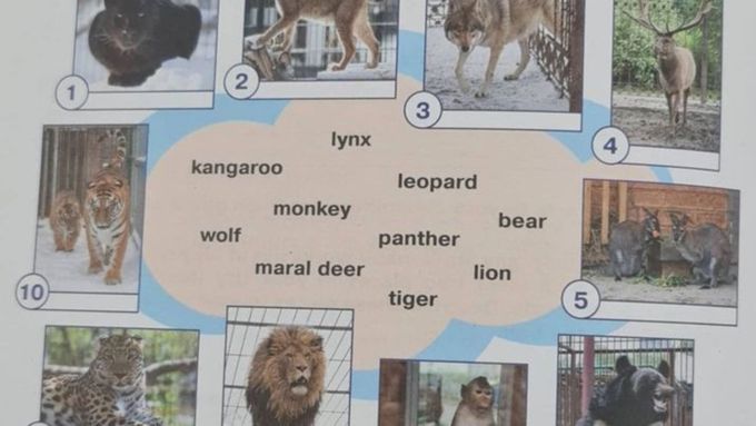 Питомцев барнаульского зоопарка включили в школьный учебник