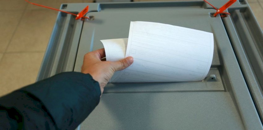  Явка на выборах в Алтайском крае достигла почти 8% 