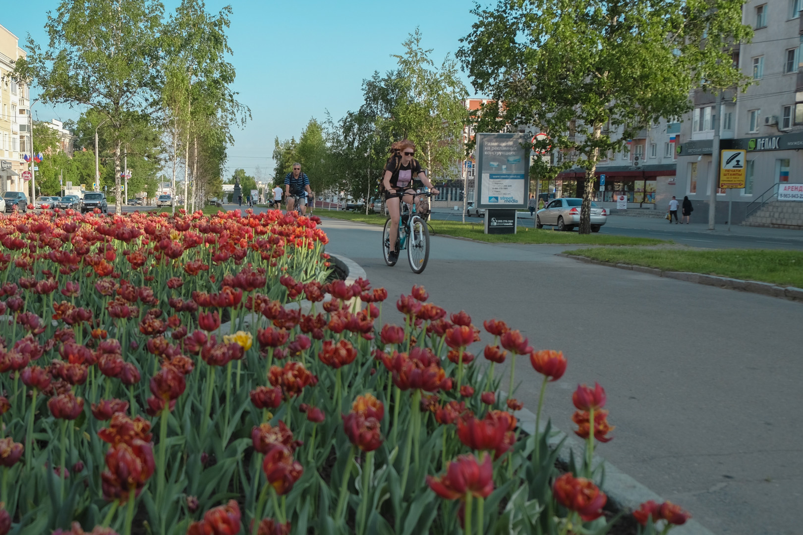 Погода в славгороде алтайский край. Славгород Алтайский край когда день города в Архангельское.