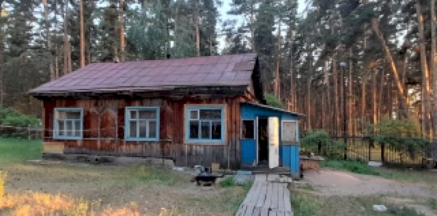  Подозреваемого в убийстве женщины на базе отдыха в Алтайском крае заключили под стражу 