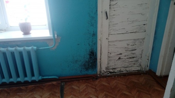 Жители алтайского села пожаловались на ужасные условия в местной больнице