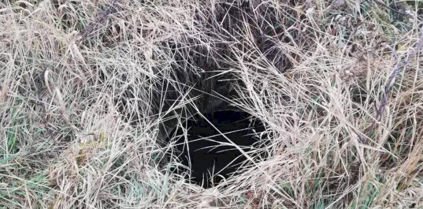  В Алтайском крае девятилетний мальчик упал в заросший травой колодец и сломал позвоночник 