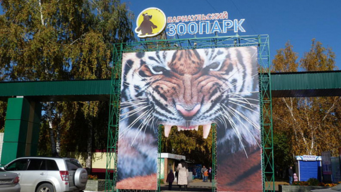 Мобильный пункт вакцинации от COVID-19 переедет в зоопарк Барнаула