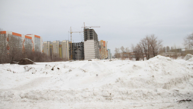 Без рубки деревьев: стало известно, где в Барнауле построят два спортивных комплекса