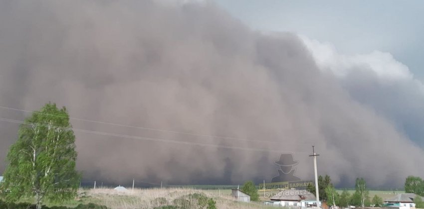  Мощная пыльная буря накрыла район в Алтайском крае 