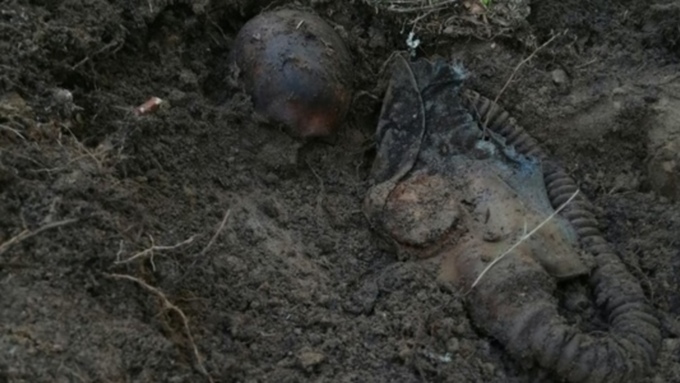 Поисковики нашли останки бойца ВОВ из Алтайского края